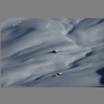 snowschool montafon 029.jpg